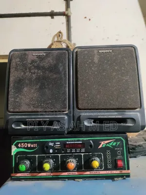 Audio Speaker