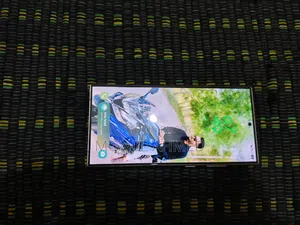 Samsung Galaxy S24 Ultra 256 GB Silver