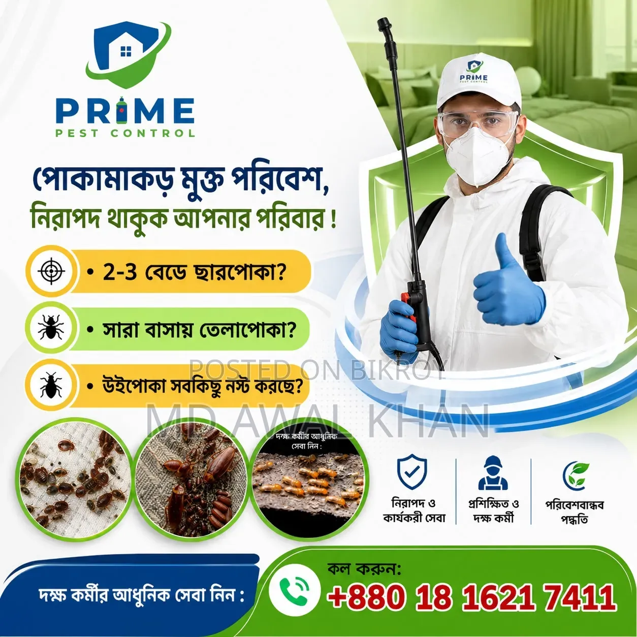আরশোলা এবং ছারপোকা নিয়ন্ত্রণ