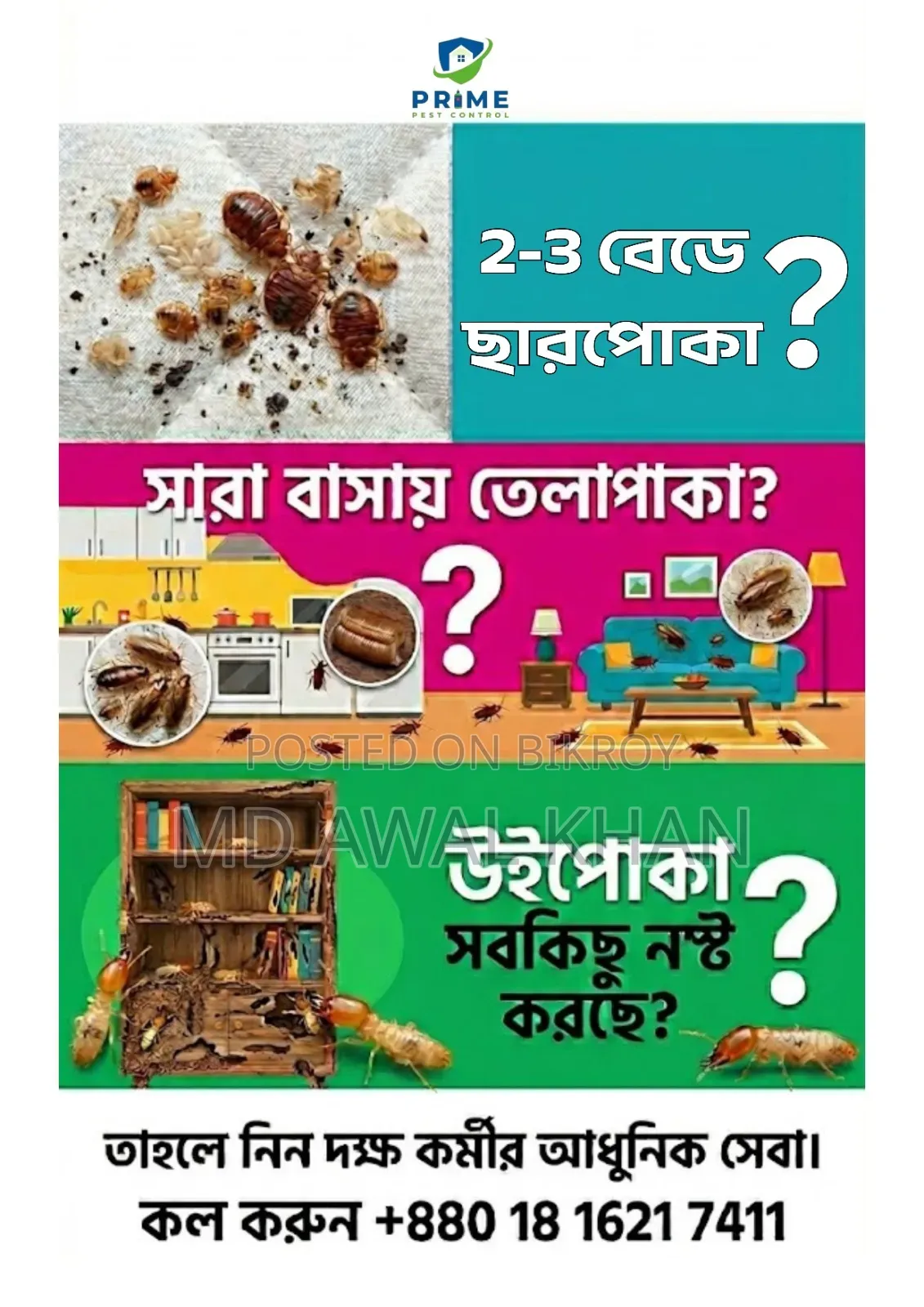 আরশোলা এবং ছারপোকা নিয়ন্ত্রণ