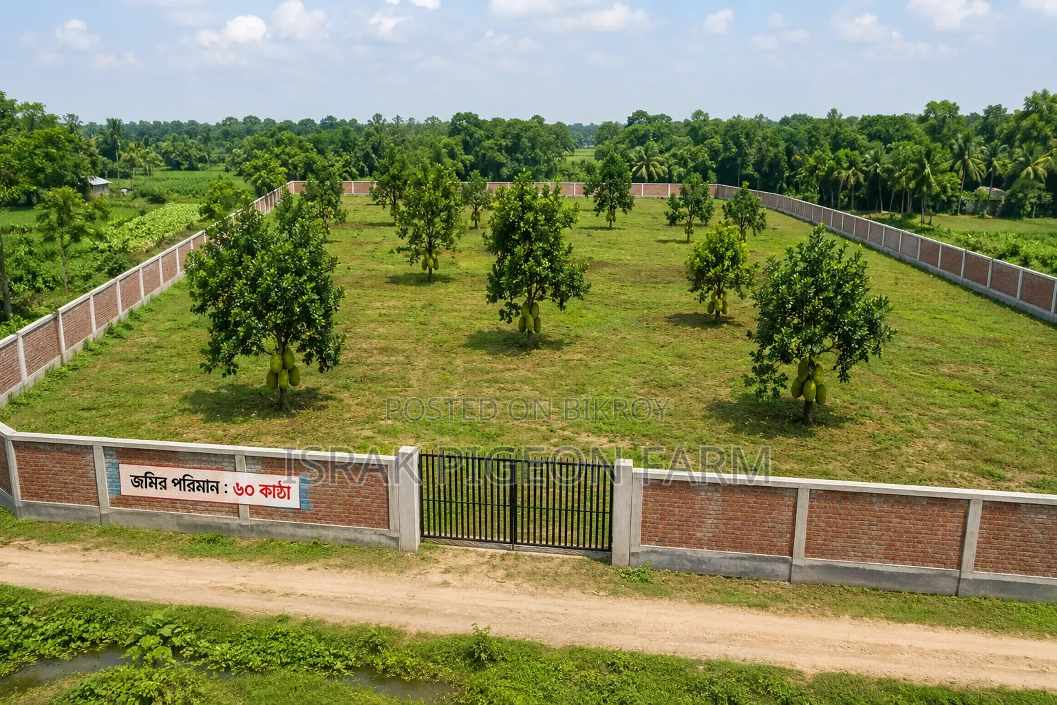 300 decimals of land for sale in Ashulia