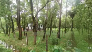 5 Katha Land for Sale in Gazipur Sadar