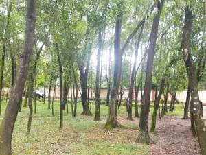 5 Katha Land for Sale in Gazipur Sadar