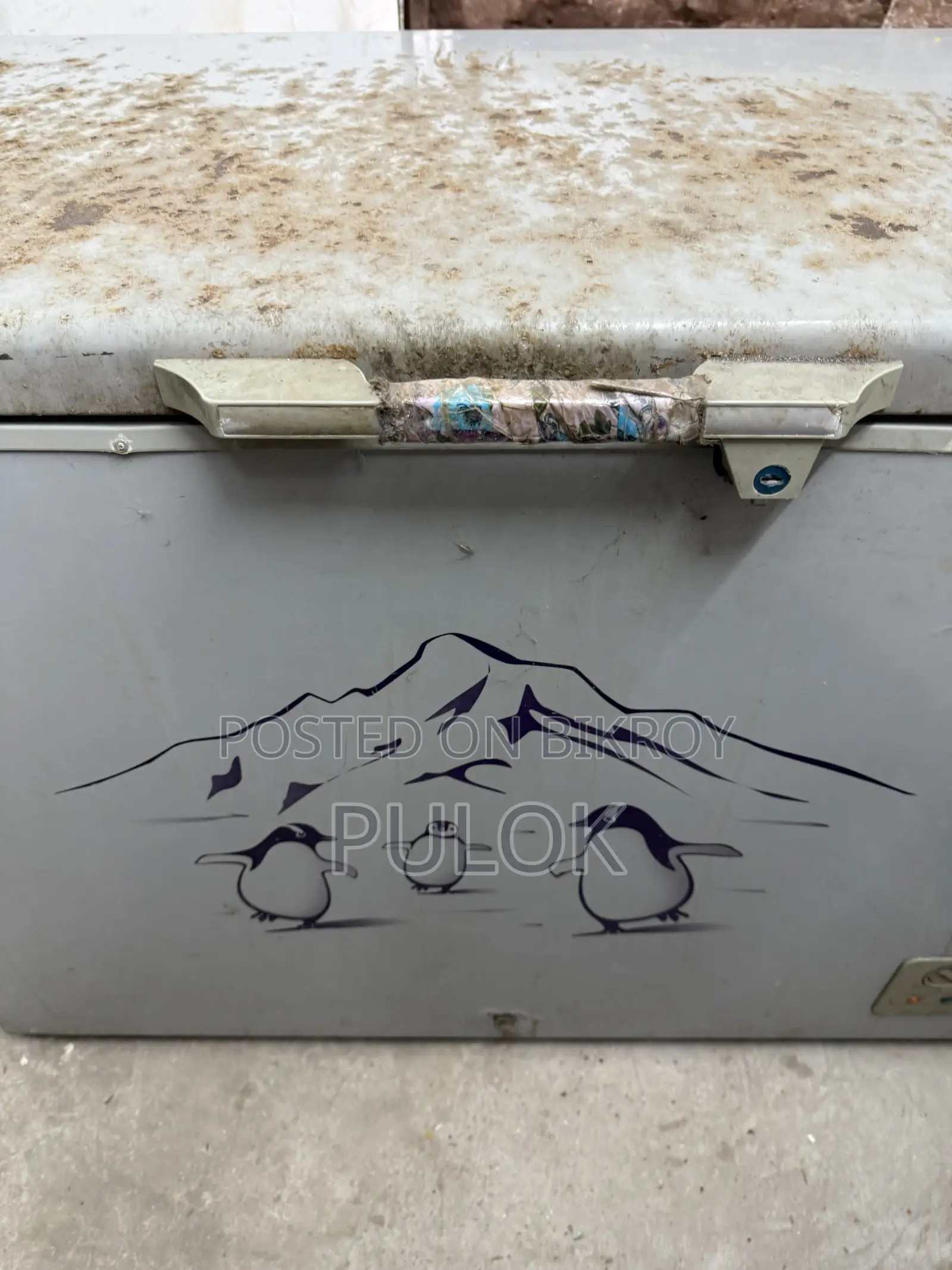 Deep Fridge Eco+ 250l