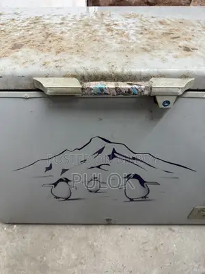 Deep Fridge Eco+ 250l