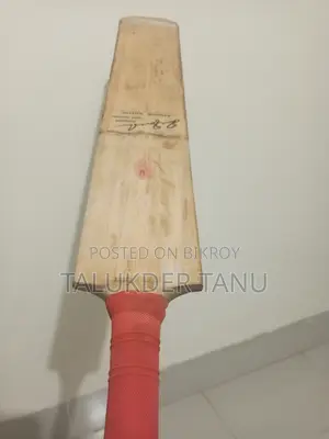 Sg Kashmir Willow Cricket Bat