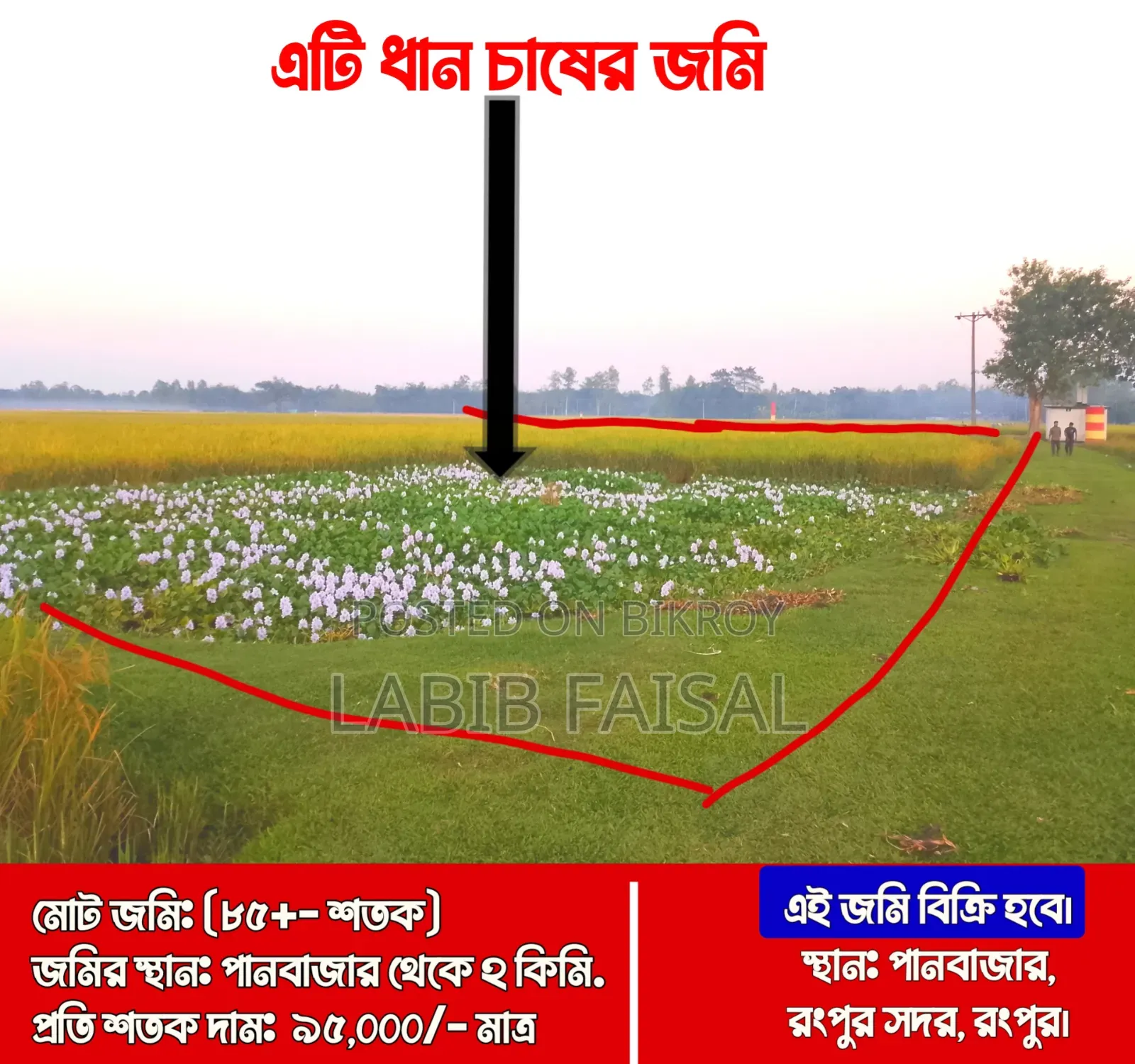 Land for sale