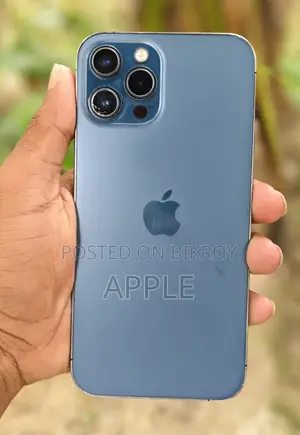 Apple iPhone 12 Pro Max 512 GB সবুজ