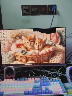 Urgent Sell Only 7 Days Used Hp Monitor