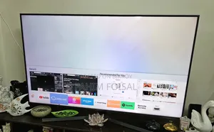 Samsung 65 Inch TV