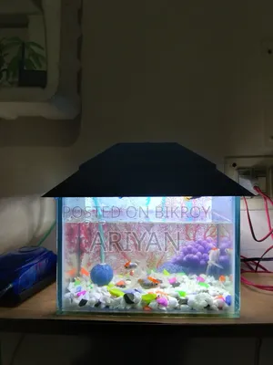 Aquarium Sell