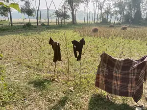জমি বিক্রি করা হবে