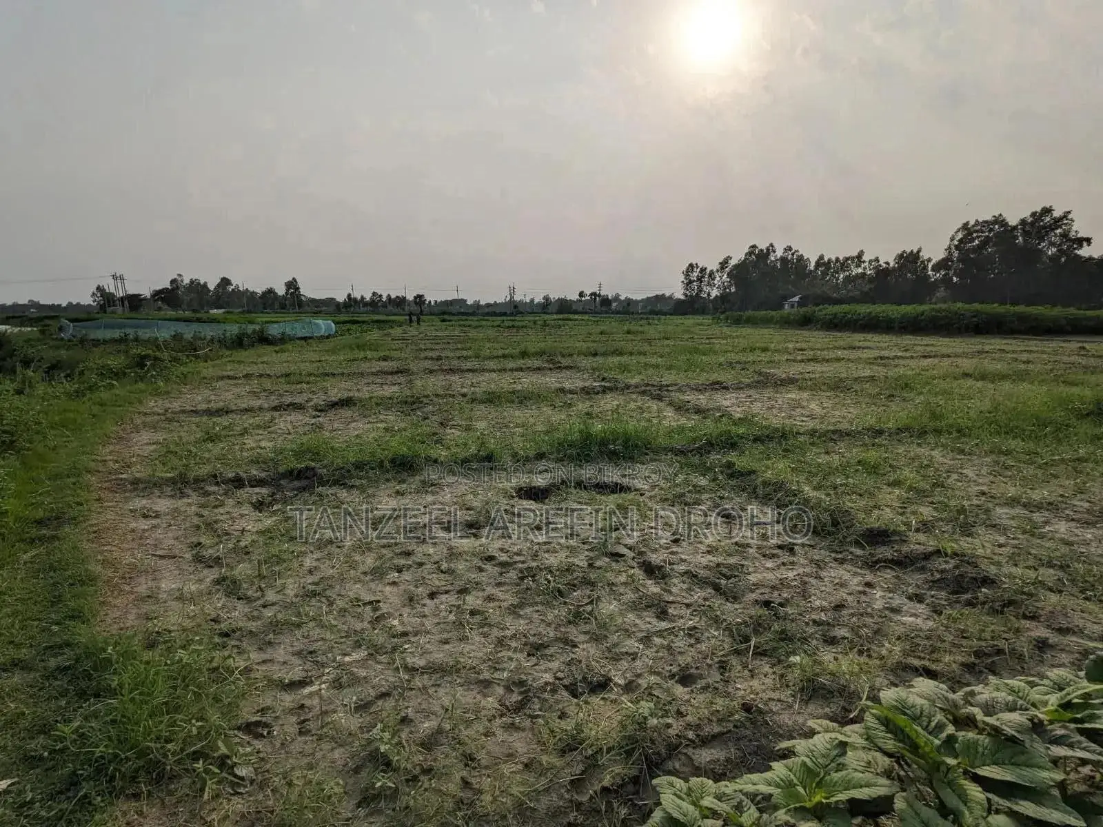 সিরাজদিখান, মুন্সিগঞ্জ; ৩২২ শতাংশ পৈতৃক জমি ৫টি পর্চায় বিক্রয় হবে!