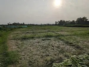 Sirajdikhan, Munshiganj; 322 decimal ancestral land for sale in 5 deeds!