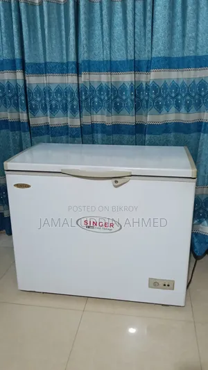 Singer 300 Liter Deep Freezer