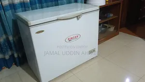 Singer 300 Liter Deep Freezer