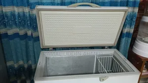 Singer 300 Liter Deep Freezer
