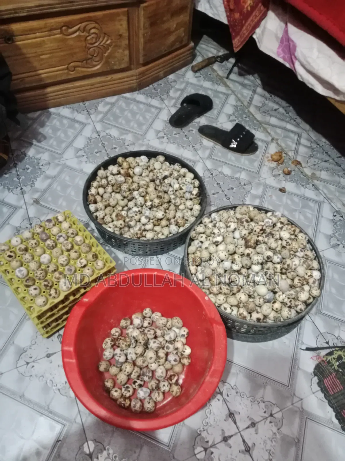Quail Eggs