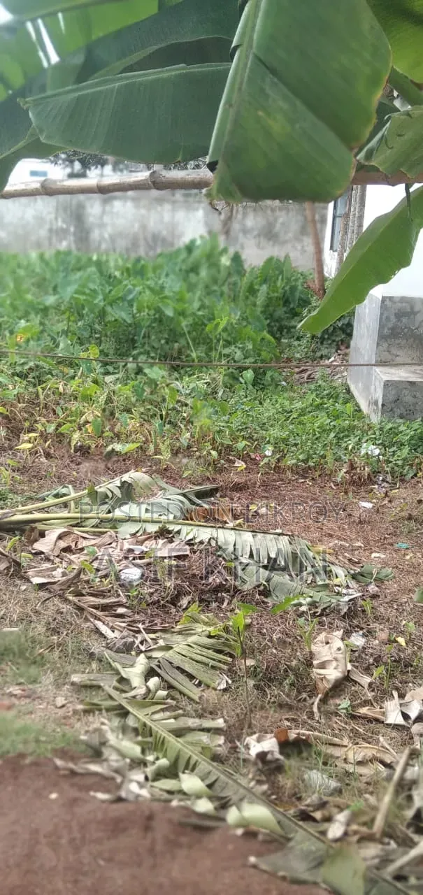 Land in Sonadangha
