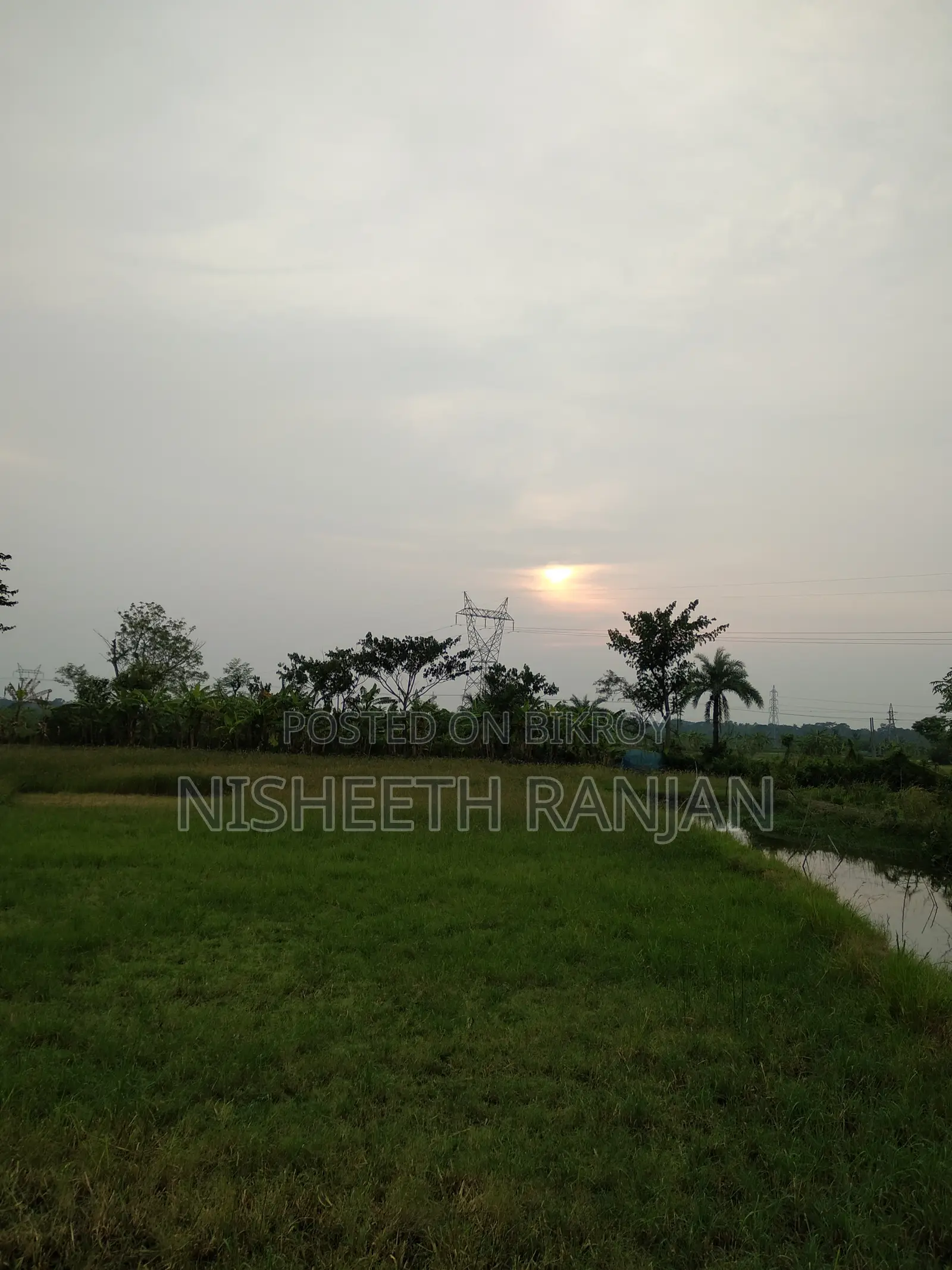 ১ বিঘা (৫২ শতক) কৃষি জমি বিক্রি হবে