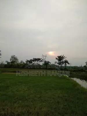 1 Bigha (52 Decimal) Agricultural Land for Sale