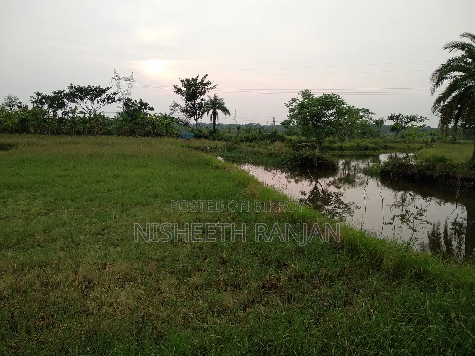 ১ বিঘা (৫২ শতক) কৃষি জমি বিক্রি হবে