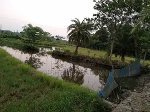 ১ বিঘা (৫২ শতক) কৃষি জমি বিক্রি হবে