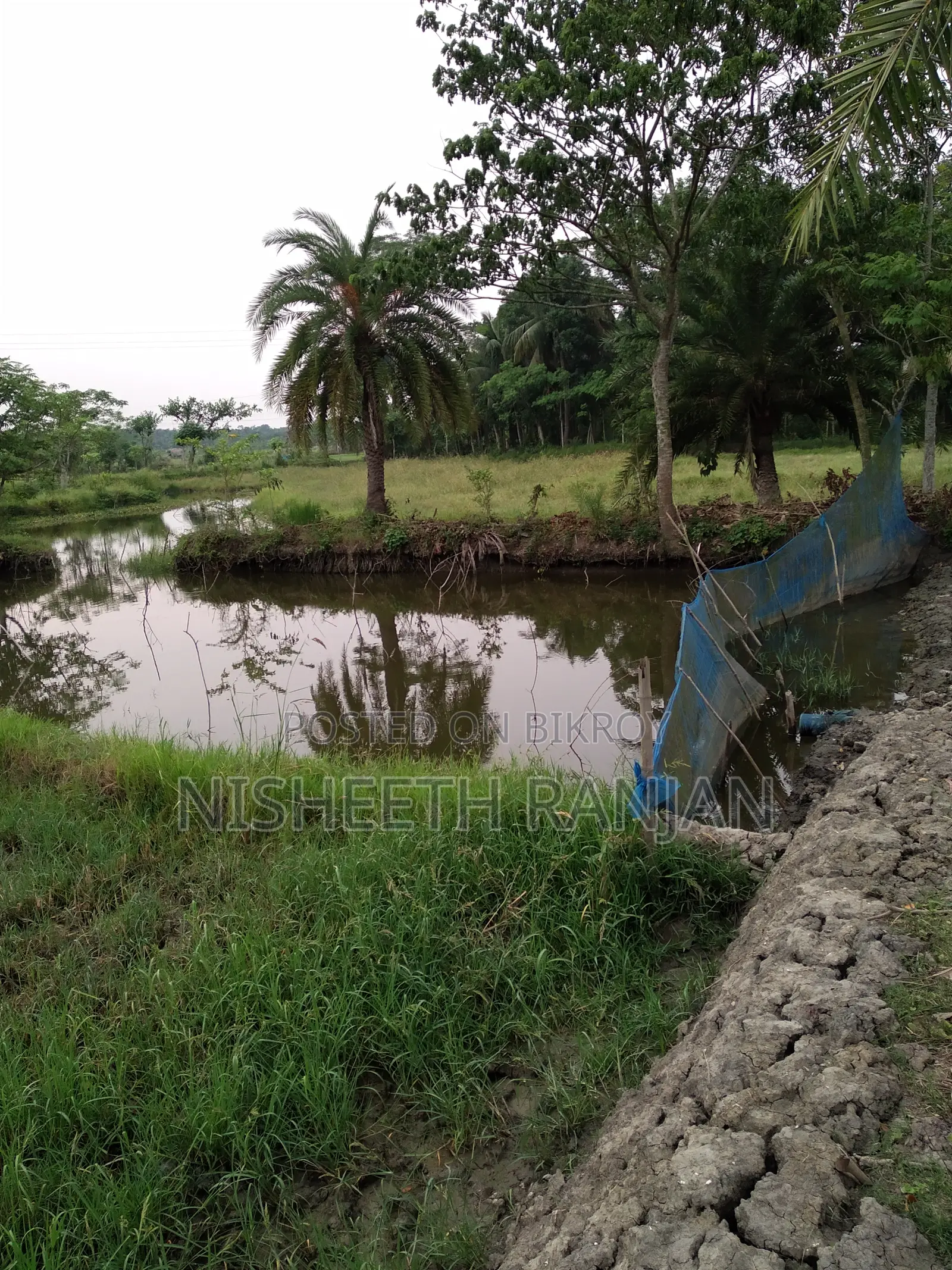 ১ বিঘা (৫২ শতক) কৃষি জমি বিক্রি হবে