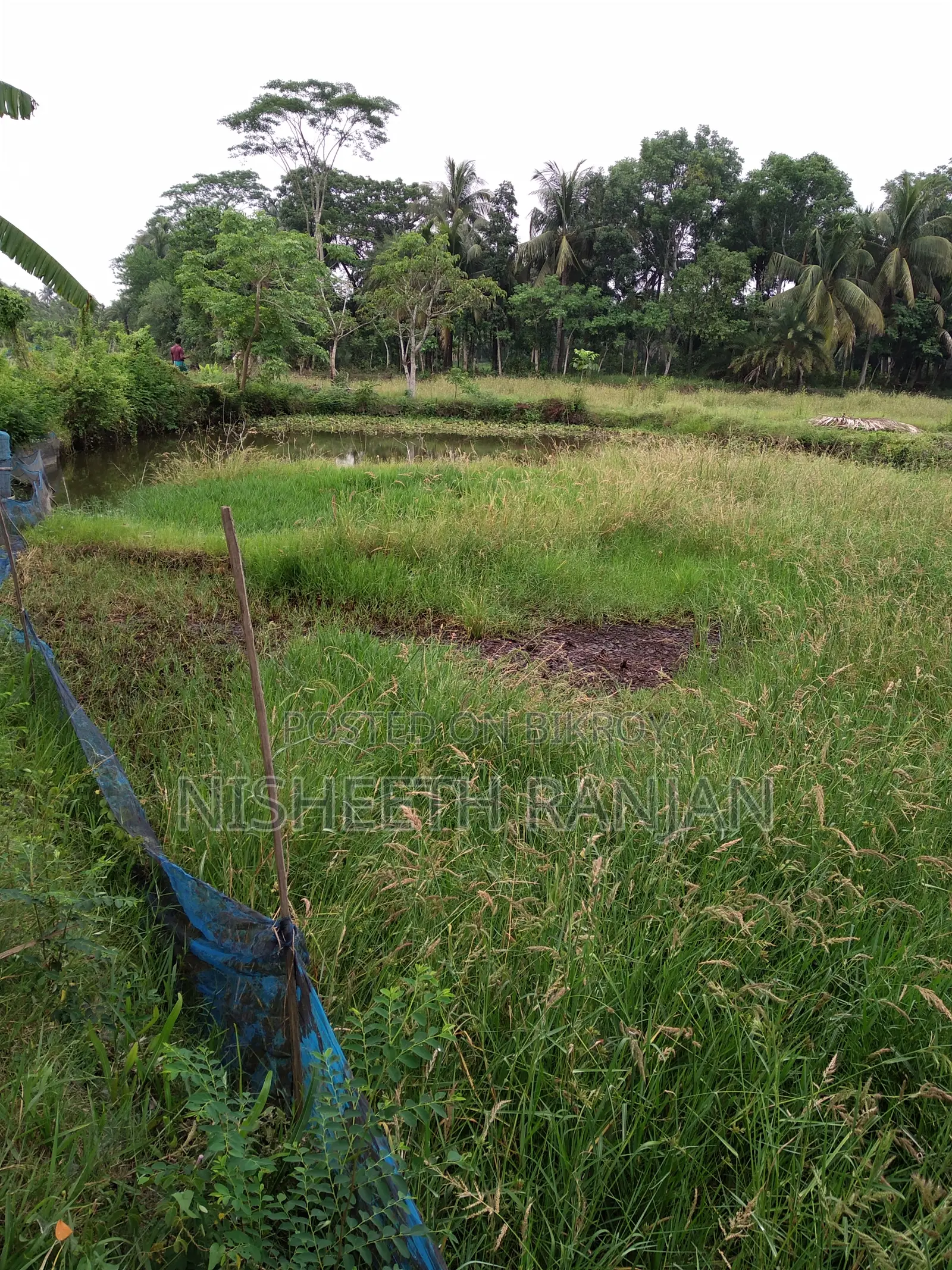 ১ বিঘা (৫২ শতক) কৃষি জমি বিক্রি হবে