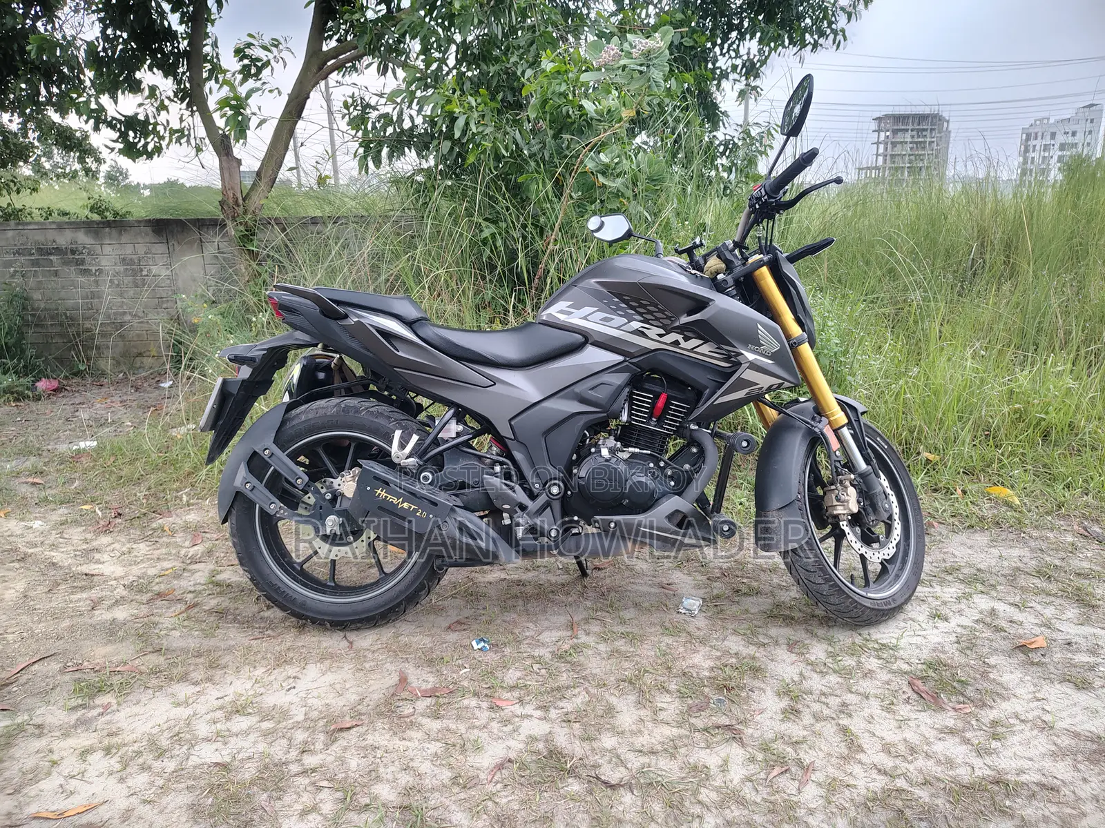 Honda Hornet 2024 Gray