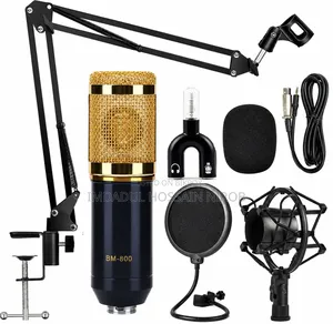 Bm 800 Microphone