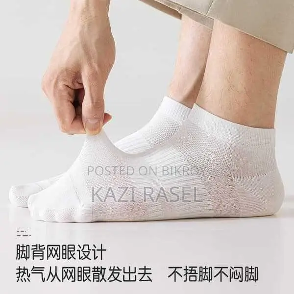 Premium Trendy Socks Collection