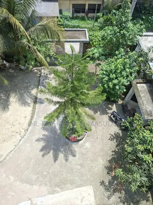 ৪ বেডরুম অ্যাপার্টমেন্ট মাতৃছায়া, গোপালগঞ্জ সদরে ভাড়ার জন্য
