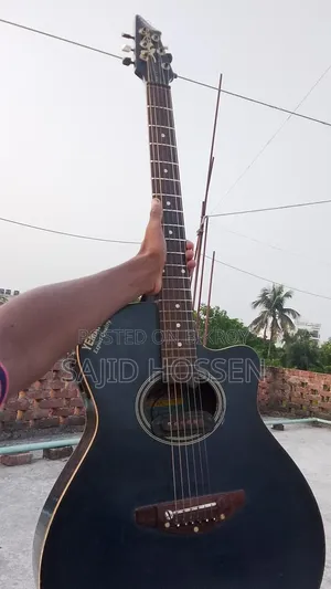 গিটারের কন্ডিশন ভালো আছে সাউন্ড কোয়ালিটি ১০০