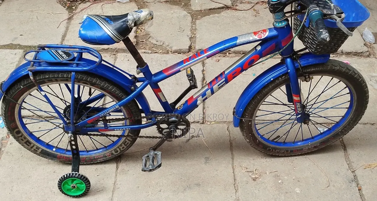 Cycle With Supportive Tyre
