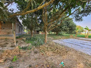 4 Katha Square Land
