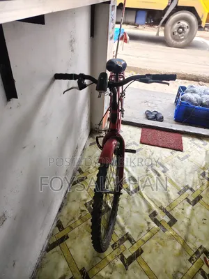 Duranta Cycle