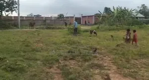 3 Katha Plot for Rent in Purbachal Sector-24