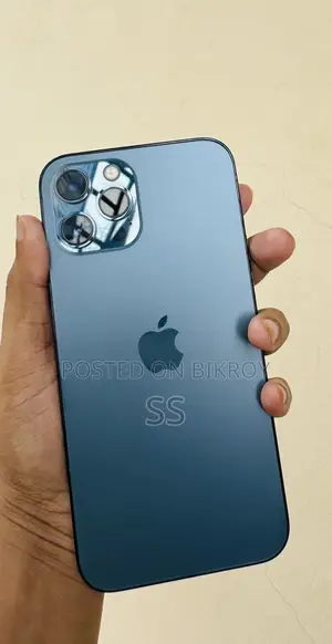 অ্যাপল আইফোন ১২ প্রো ম্যাক্স ২৫৬ জিবি ব্লু