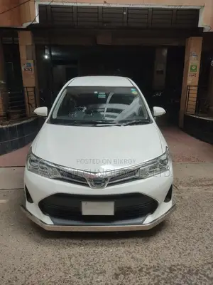 Toyota Corolla Fielder 2018 White