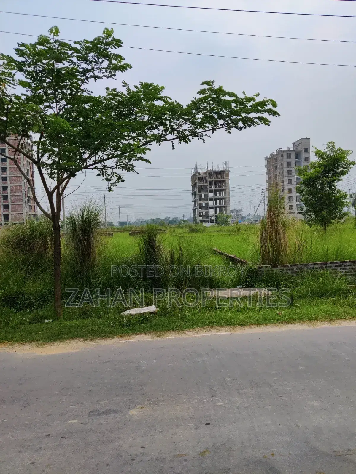 M Block 4 Katha South Plot Sell