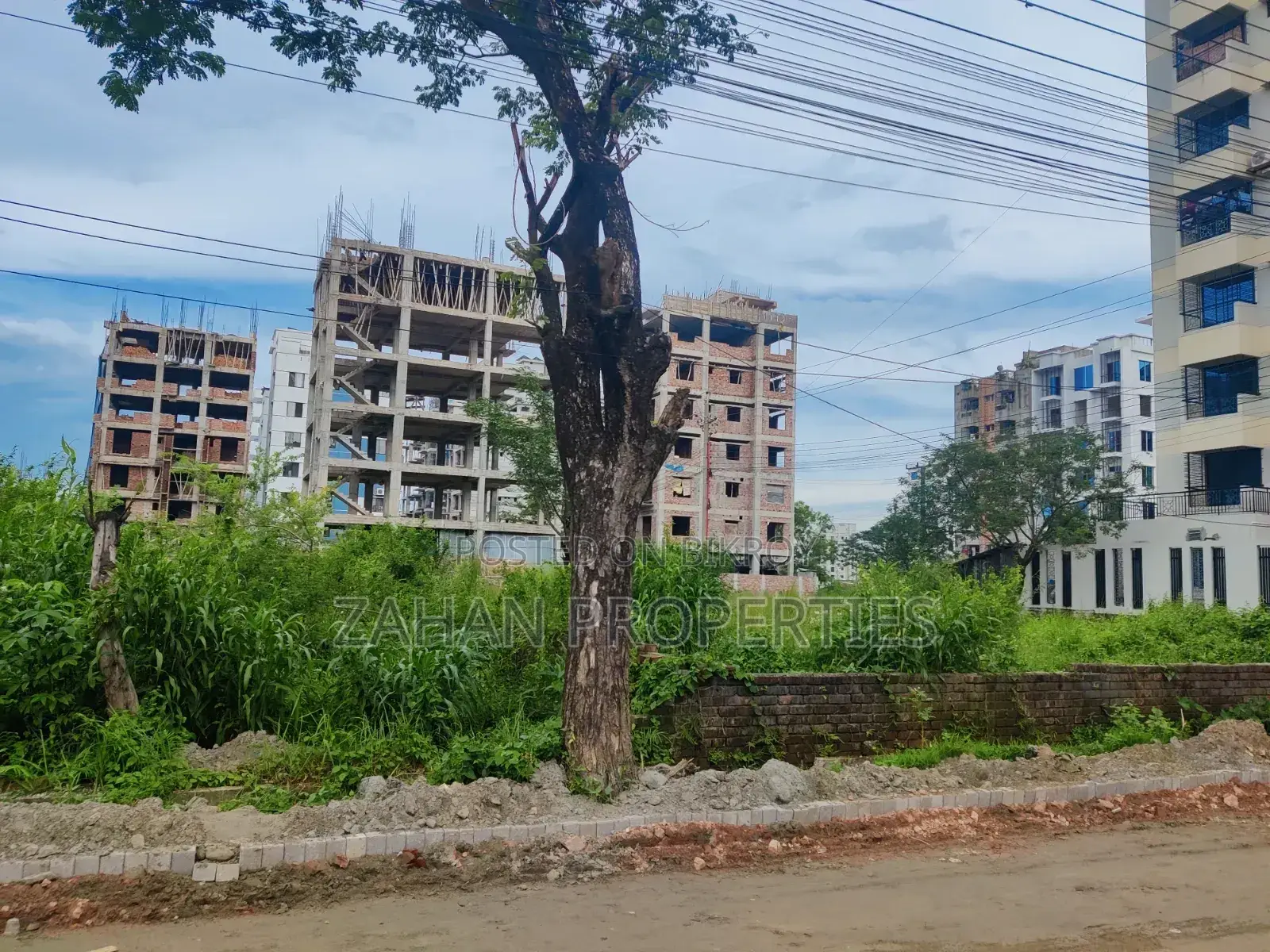M Block 4 Katha South Plot Sell