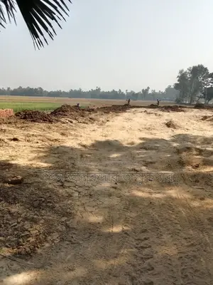 55 decimal high filled land suitable for mills and factories for sale in Adamdighi