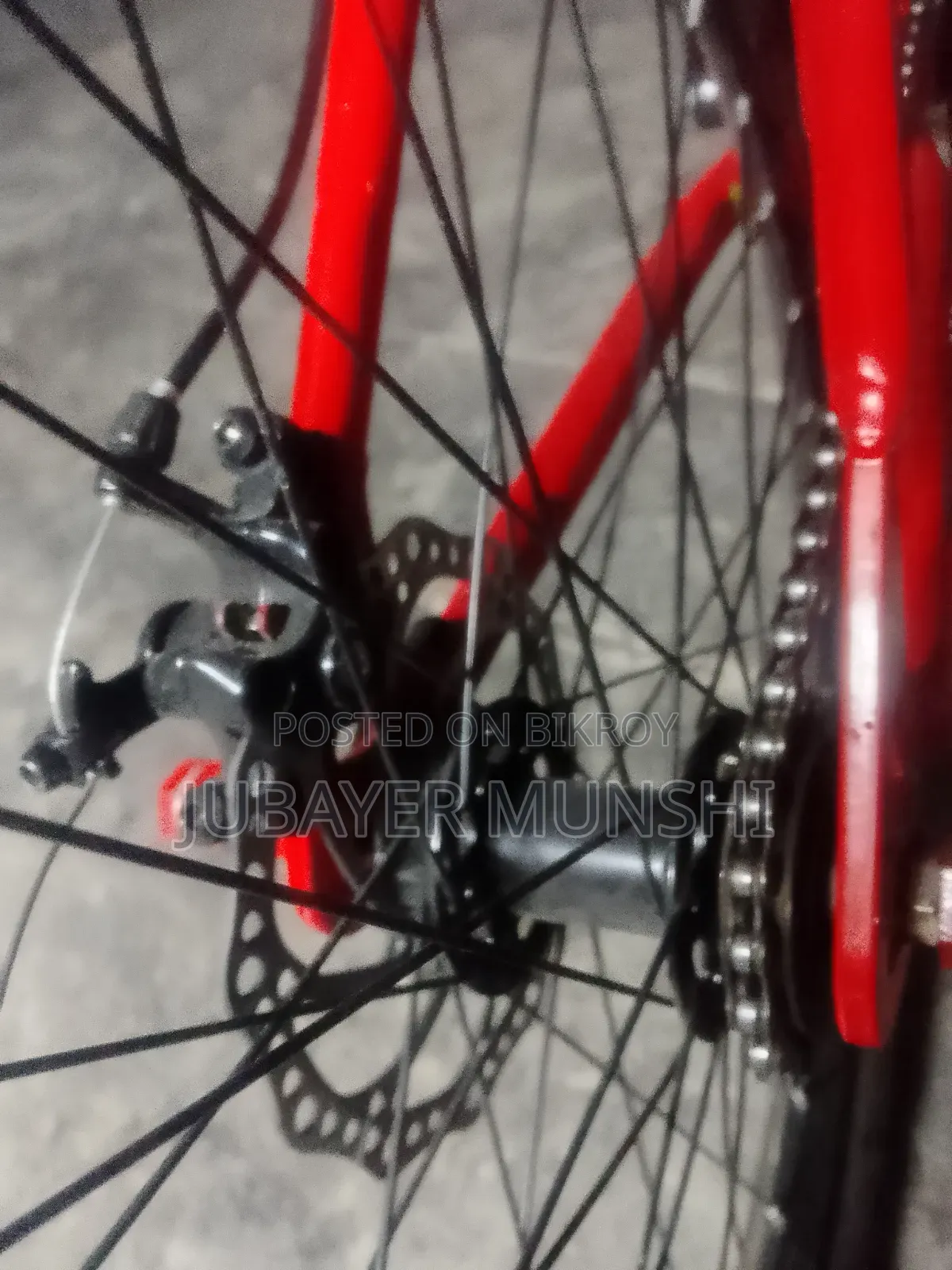 Veloc Bicycle