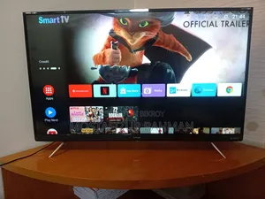Singer Smart TV