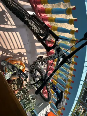 Rock Rider Bicycle
