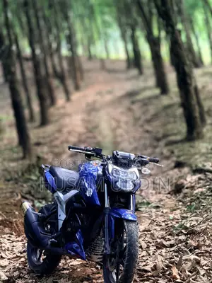 টিভিএস অ্যাপাচি আরটিআর ১৬০ ৪ভি ২০২৪ নীল