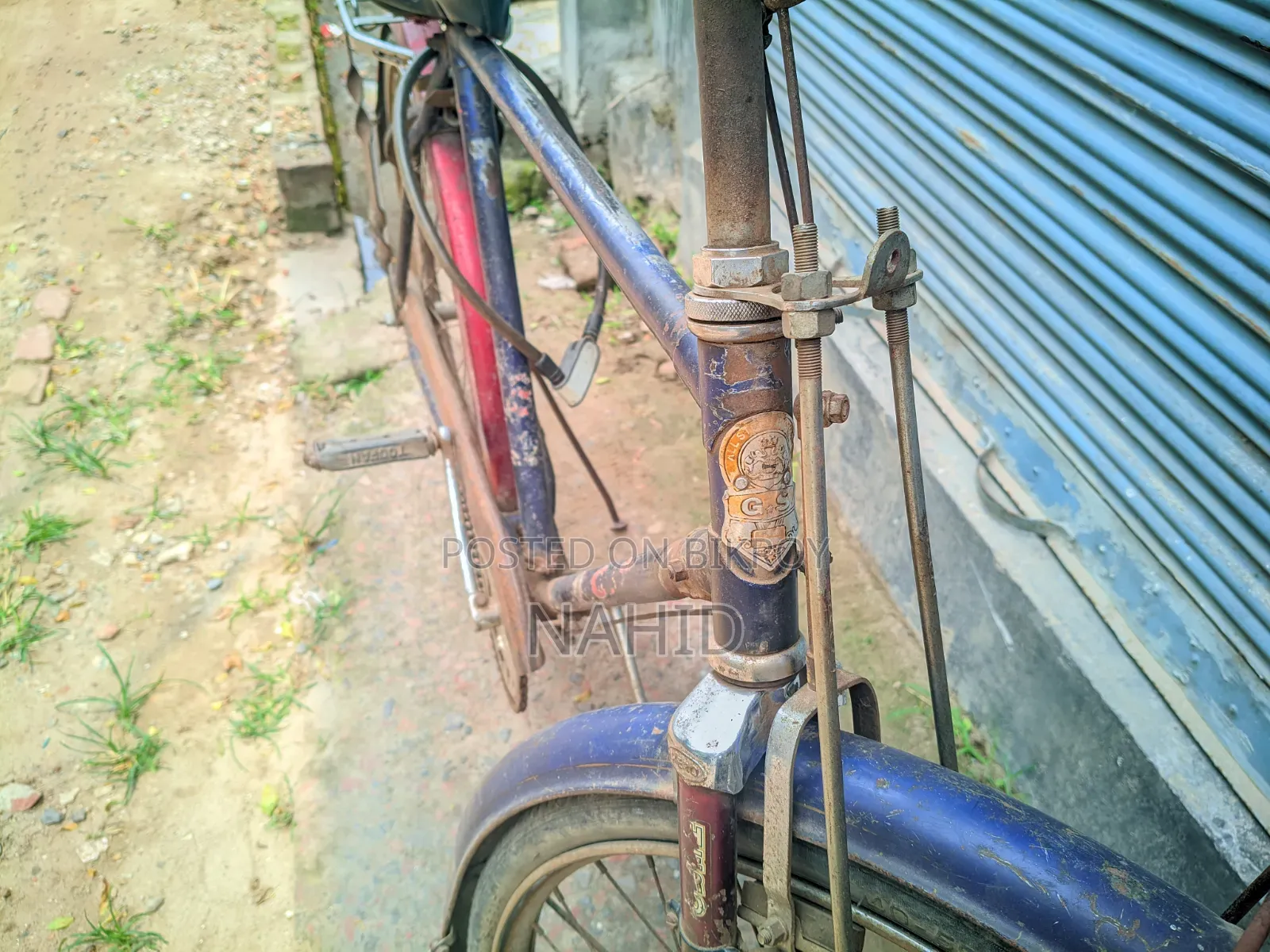 বাইসাইকেল মিডিয়াম