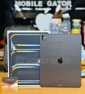 Apple iPad Pro 13 (2024) 256 GB Gray