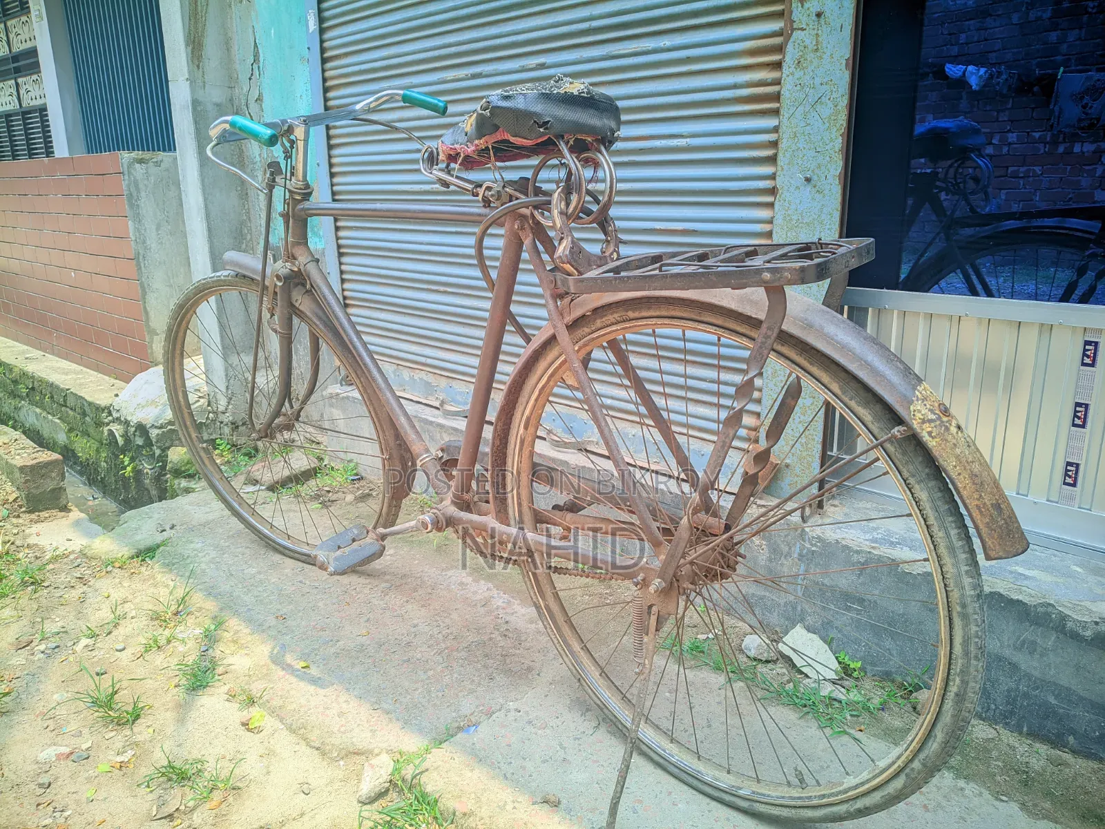 Bicycle Large